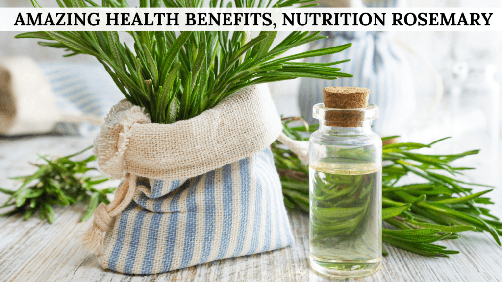 ROSEMARY AND ITS BENEFITS