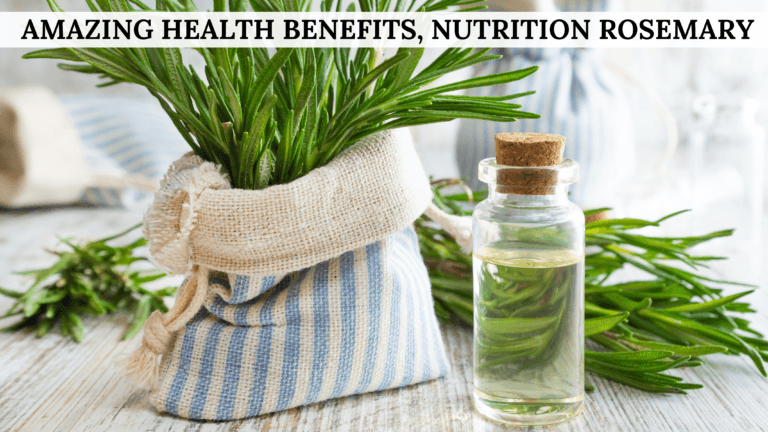 ROSEMARY AND ITS BENEFITS