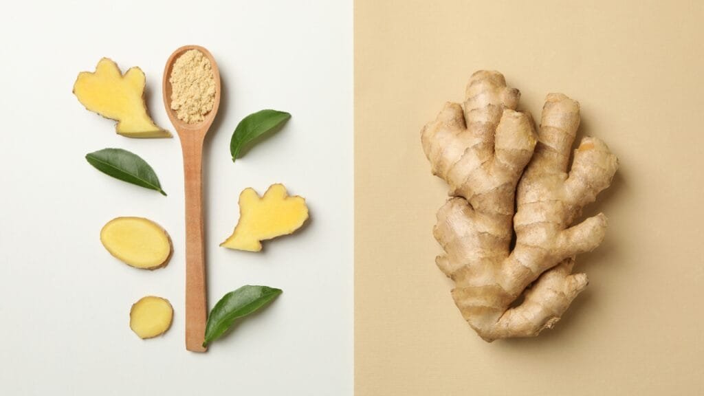Ginger and Spoon with Ginger Powder on Two Tone Background Manual of Health